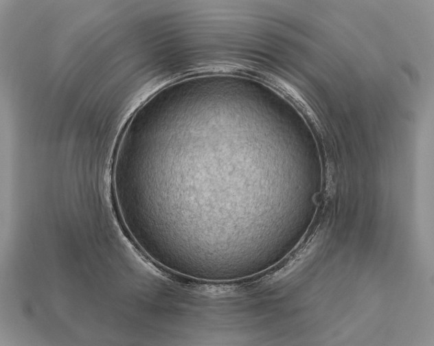 X0000112980802200909101713