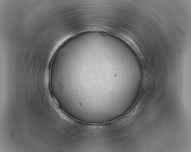 X0000112980804200909101713