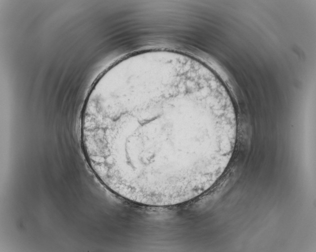 X0000112980807200909101713