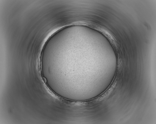 X0000112980808200909101713