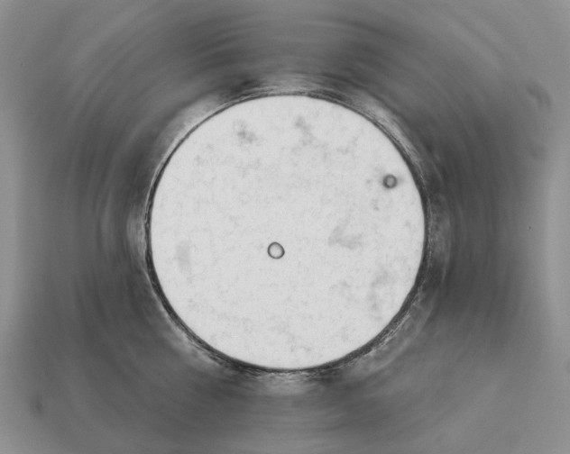 X0000112980810200909101713