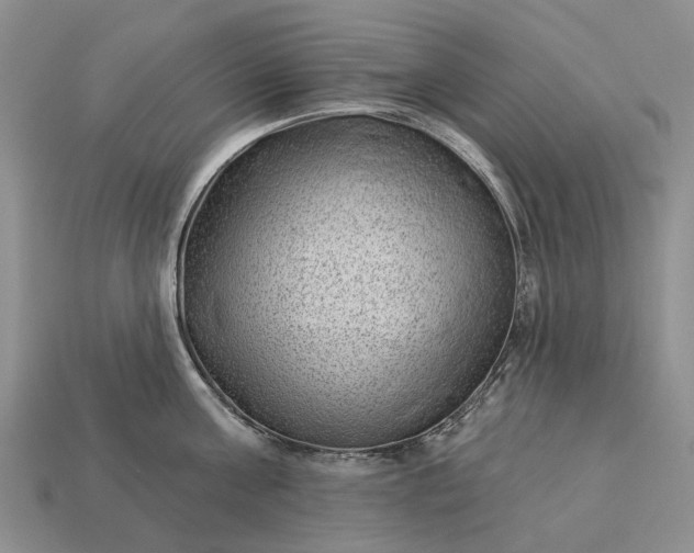 X0000112980811200909101713