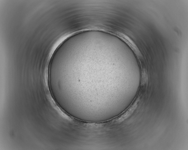 X0000112980812200909101713