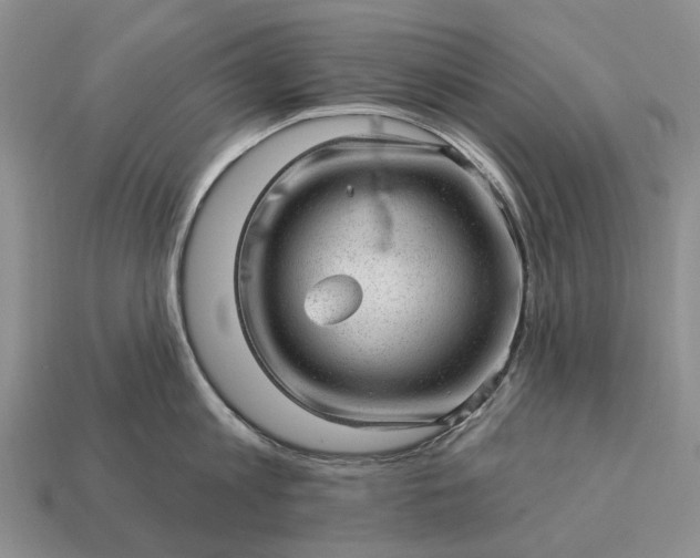 X0000112980813200909101713