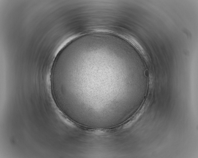 X0000112980814200909101713