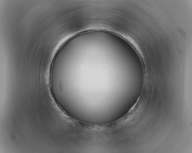 X0000112980815200909101713