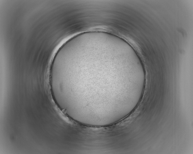 X0000112980816200909101713