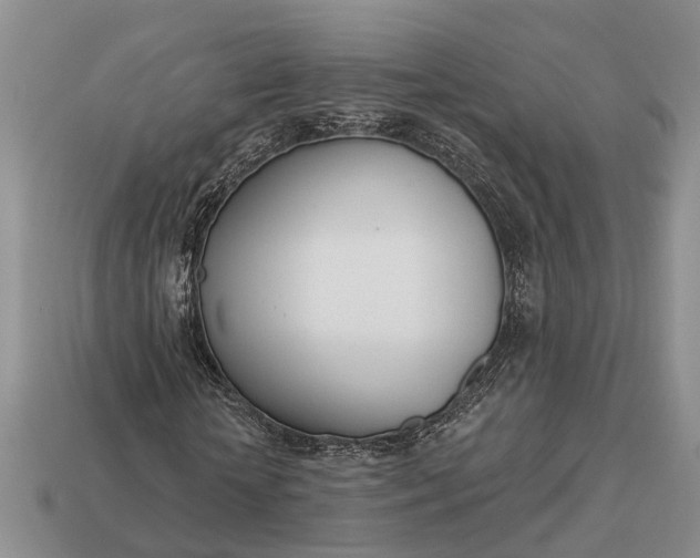 X0000112980818200909101712