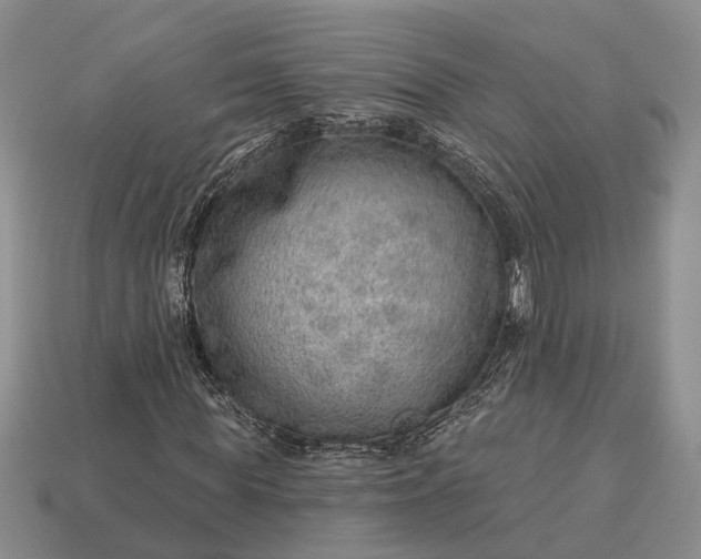 X0000112980819200909101712