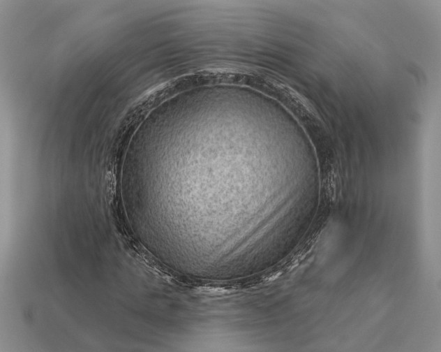 X0000112980821200909101712