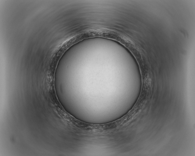 X0000112980822200909101712