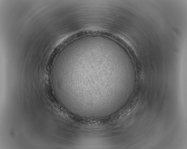 X0000112980823200909101712