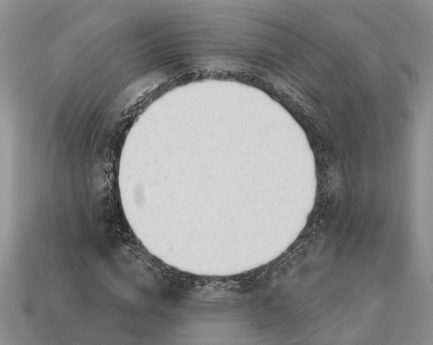 X0000112980824200909101712