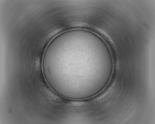 X0000112980825200909101712