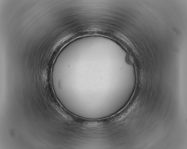 X0000112980826200909101712