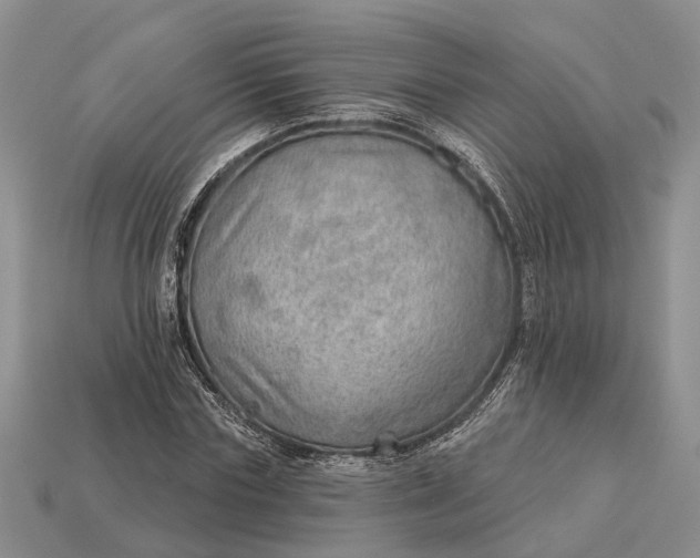 X0000112980827200909101712