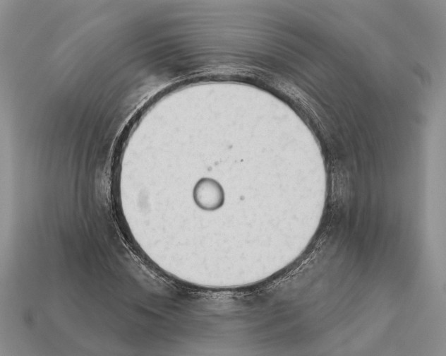 X0000112980828200909101712