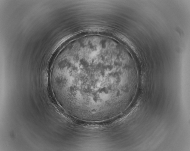 X0000112980829200909101712