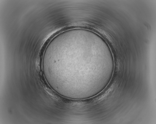 X0000112980830200909101712