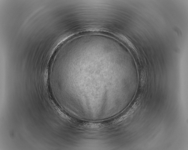 X0000112980831200909101712