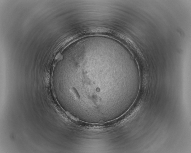 X0000112980833200909101712