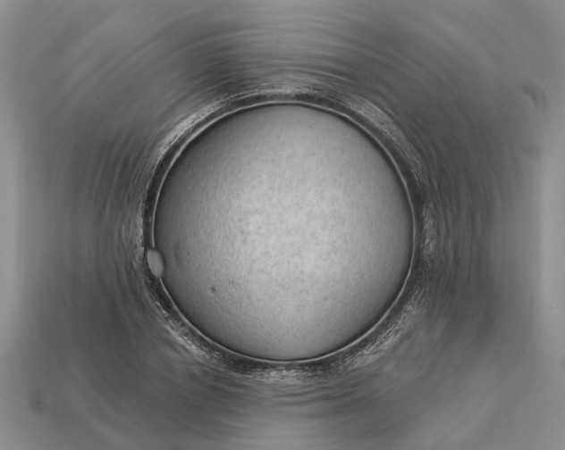 X0000112980834200909101712