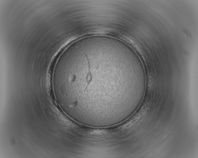 X0000112980835200909101712