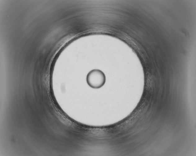 X0000112980836200909101712