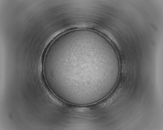 X0000112980837200909101712