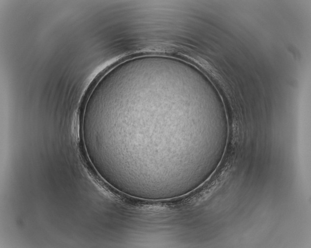 X0000112980838200909101712