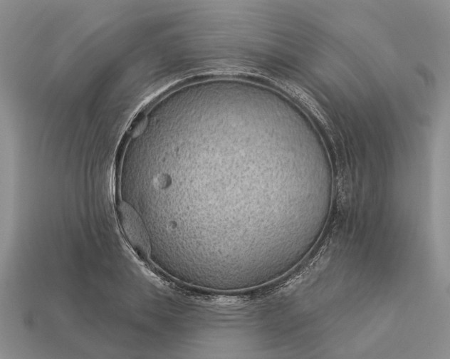 X0000112980839200909101712