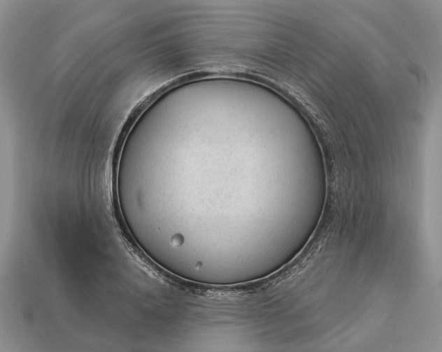 X0000112980840200909101712