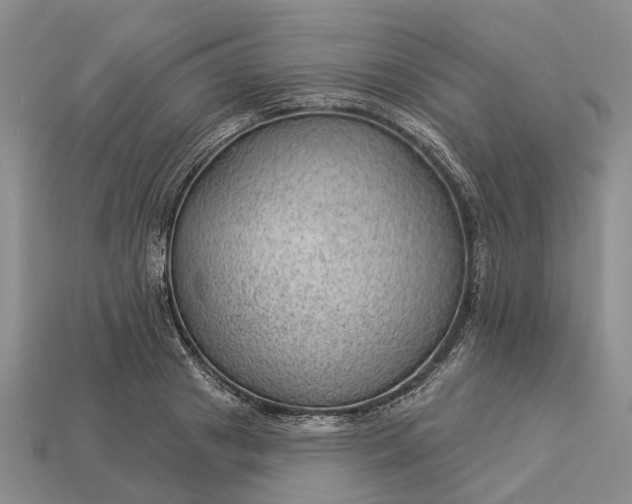 X0000112980841200909101712