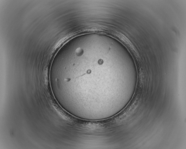 X0000112980842200909101712