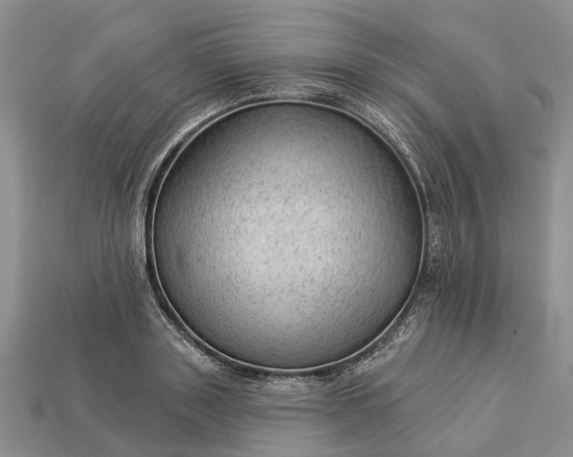 X0000112980843200909101712