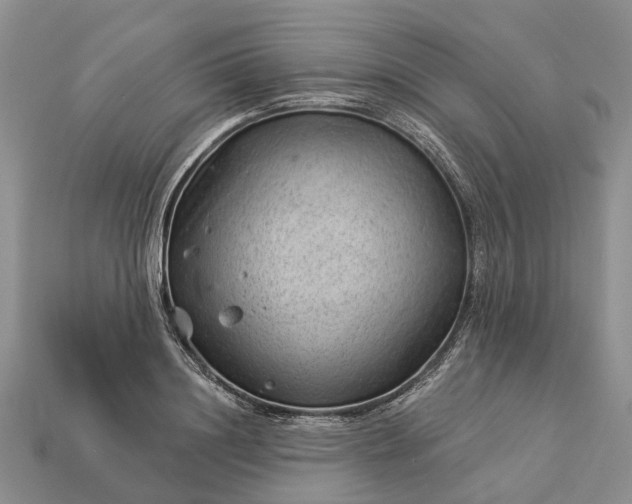 X0000112980844200909101712