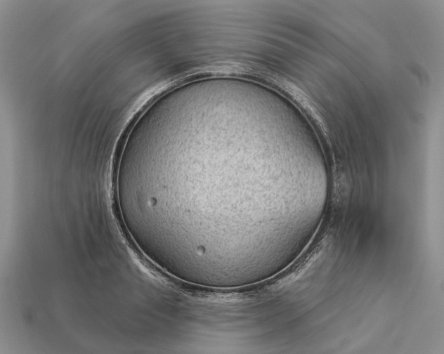 X0000112980845200909101713