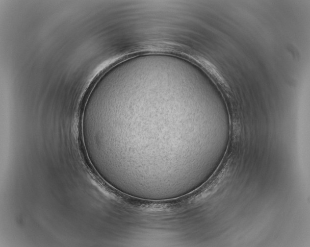 X0000112980846200909101713