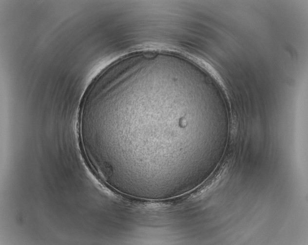 X0000112980847200909101713