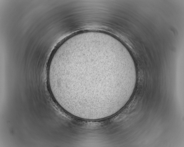 X0000112980848200909101713