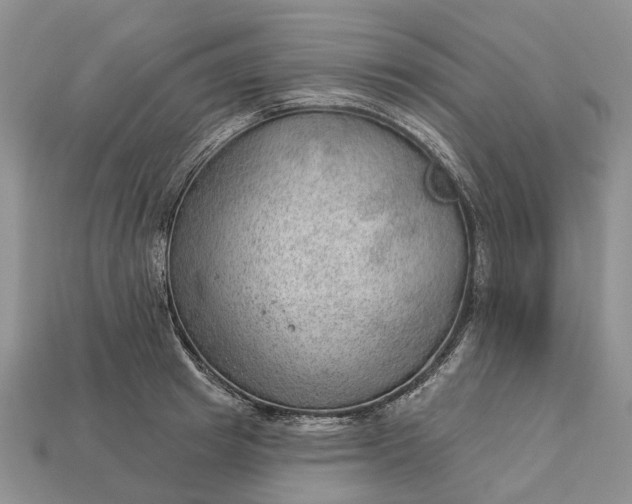 X0000112980849200909101713