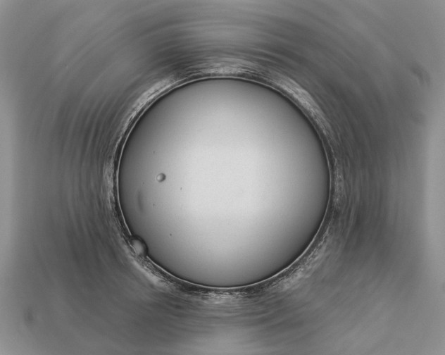 X0000112980850200909101713