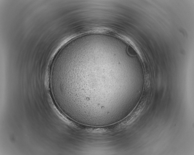 X0000112980851200909101713