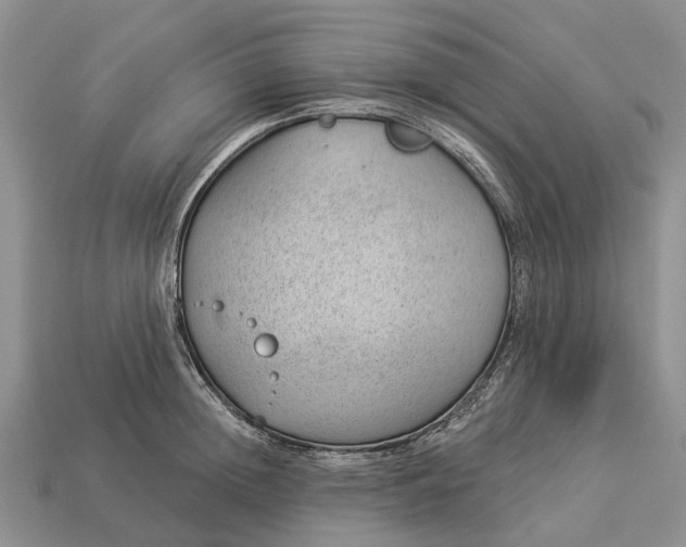 X0000112980852200909101713