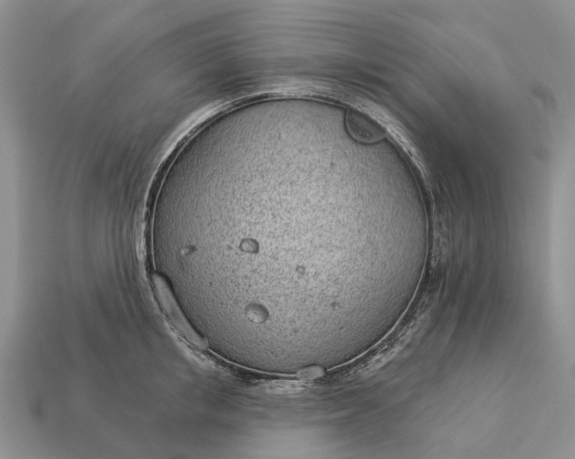 X0000112980853200909101713