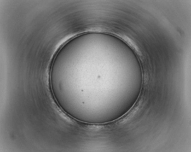 X0000112980854200909101713