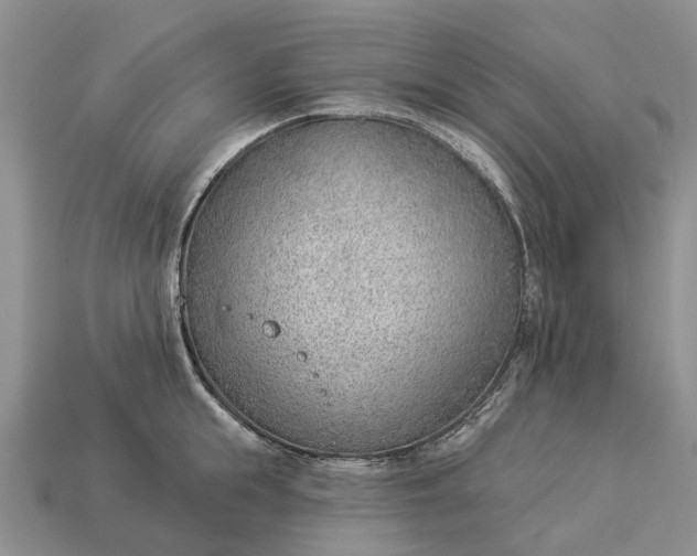 X0000112980855200909101713