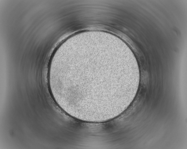 X0000112980856200909101713