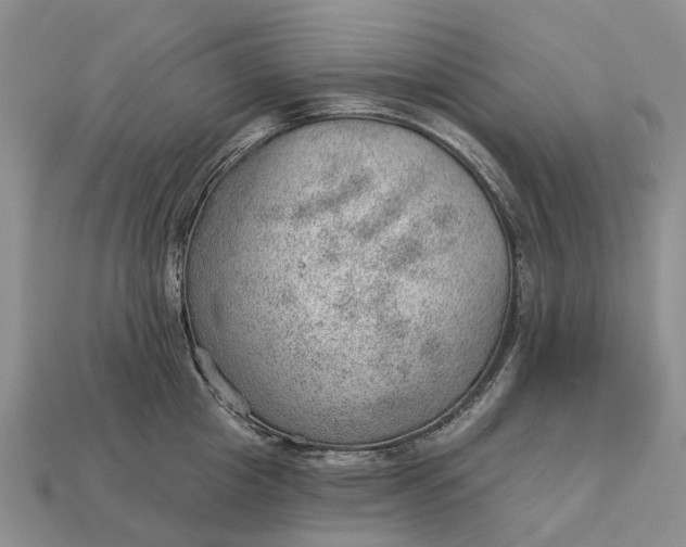 X0000112980857200909101713