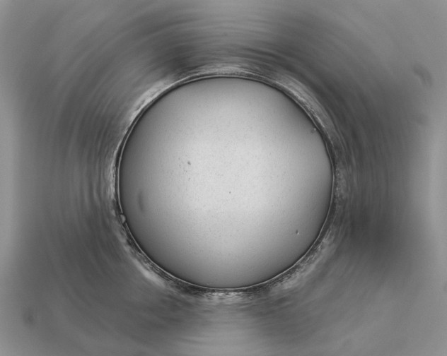 X0000112980858200909101713